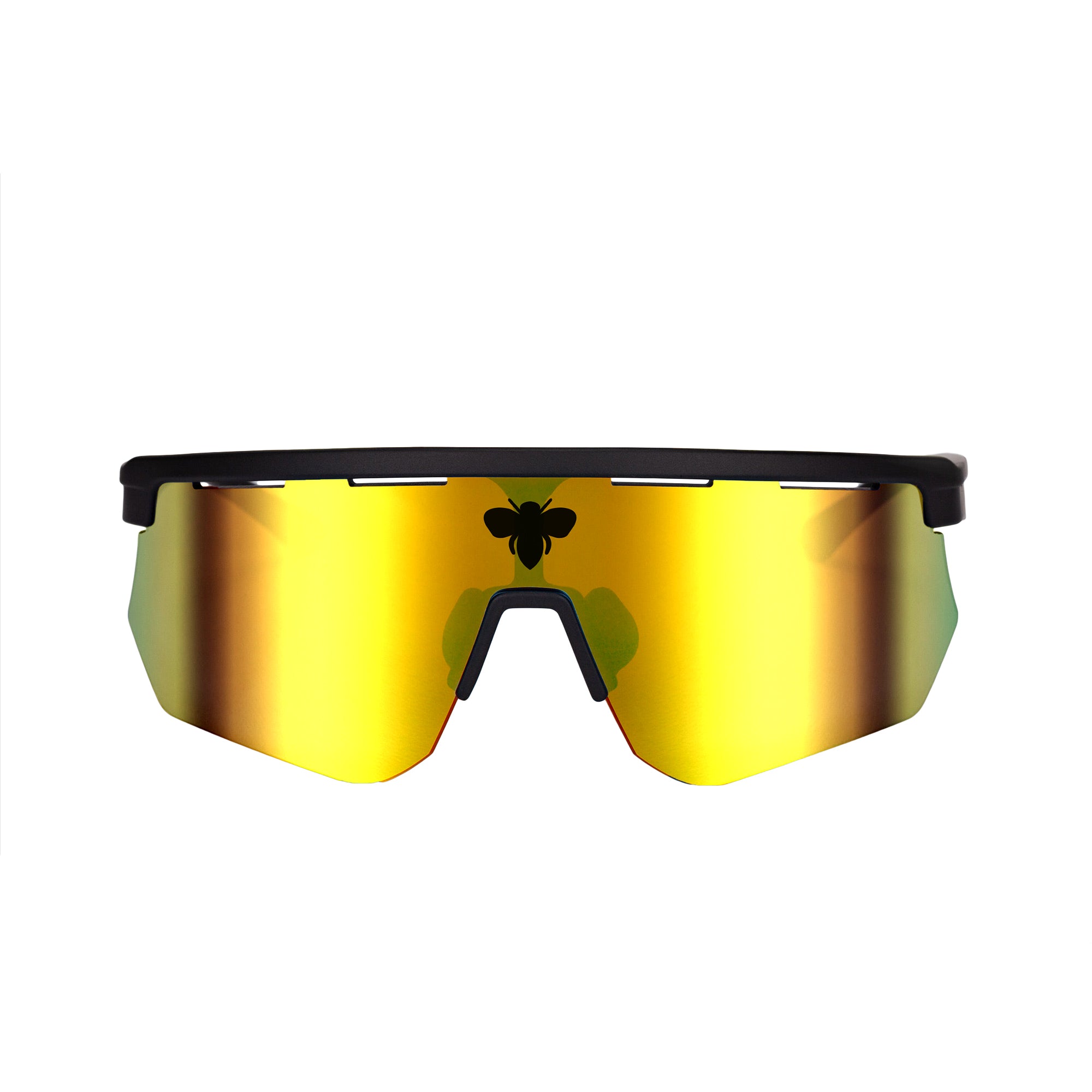 Raider Gold